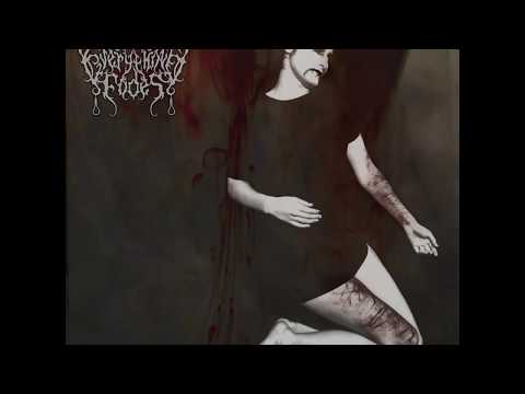 Now Everything Fades - Suicide In Dark Serenity (Xasthur cover)