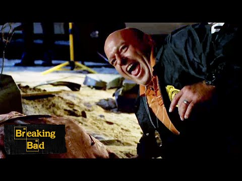 Hank Laughs At Gory Crime Scene | Seven Thirty-Seven | Breaking Bad