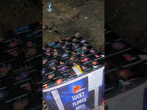 25 Shots Lucky Flower Bombshell by Phoenix Fireworks #newyear2025 #2025 #diwali