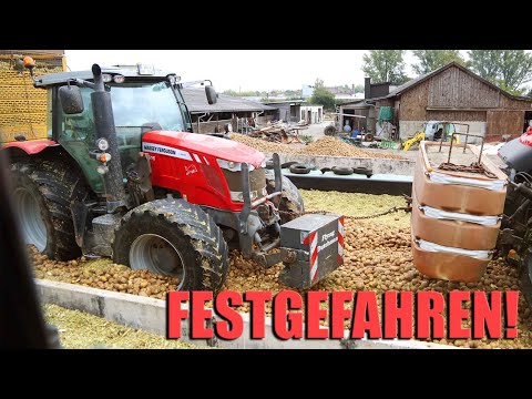 Lou gets stuck in the silo + rescue!🌽