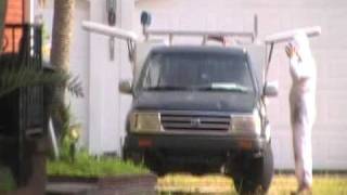 Africanized bees,  Bees in the Attic- Thermal Imaging  Camera flir Inspections