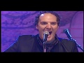 Delfins Nasce Selvagem Ao Vivo Na Baía De Cascais 31 Dezembro 2009
