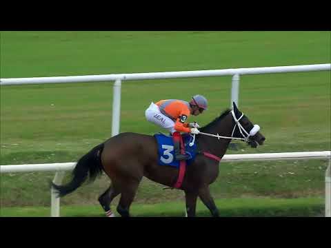 230416 c05 G Bretaña/ WARM PUNCH