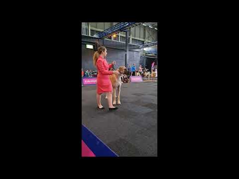 Holland Cup  Youth Winner 2022