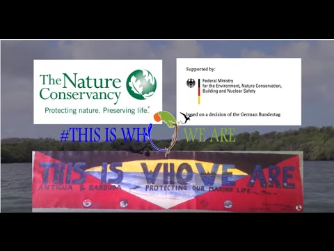 'This Is Who We Are' Theme Song - Ambi, J Mouse, Famus and Bridget Barkan