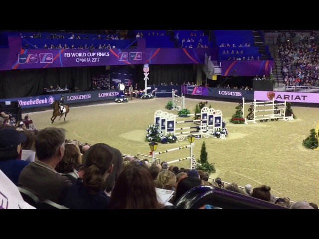 Half-brother of the mother is the Grand Prix 1.70m horse Arrayan (rider: Sergio Alvarez Moya)