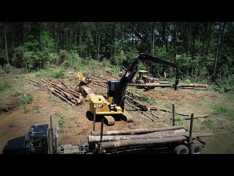 Meet Grady Embry, an experienced operator at Eddie, Inc. in Forest, Mississippi, who’s logged over 450 hours on the new Cat(R) FM528 Forest Machine. In this video, Grady shares his firsthand experience using the FM528 for log processing and loading.  Grady highlights the machine’s stout build, impressive speed, and outstanding maneuverability, making it a reliable and efficient option for demanding forestry operations. Hear why the FM528 stands out in the field and how it performs under real-world conditions.