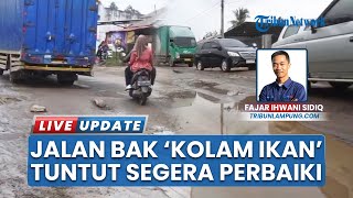 Warga Lampung Tengah Keluhkan Infrastruktur Jalan, Singgung Insiden Bus Terperosok akibat Lubang