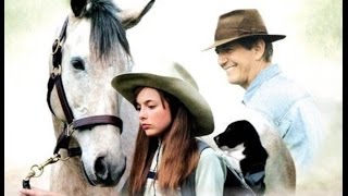 WSZYSTKIE DROGI PROWADZĄ DO DOMU - cały film /lektor PL