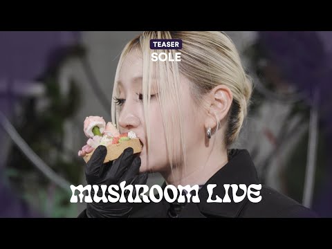 MUSHROOM LIVE S02 - SOLE TEASER