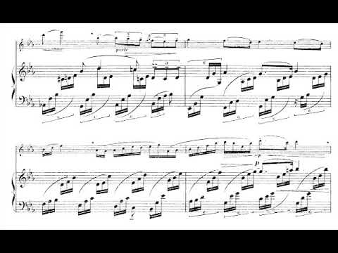 George Enescu - Cantabile et Presto for Flute and Piano (1904) [Score-Video]