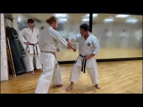 Guy Brodeur - Irimi Waza