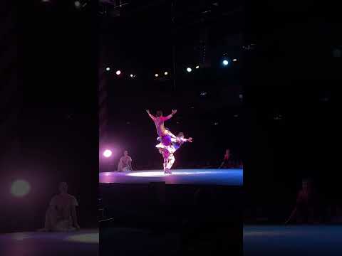 Promotional video thumbnail 2 for The Flying Acrobats