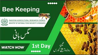 BEE KEEPING TRAINING 1st day 19 11 2024