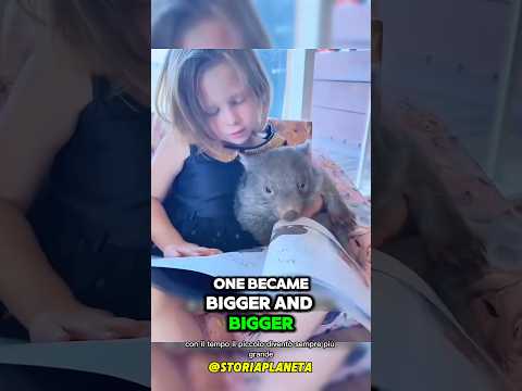 Hanno salvato un cucciolo misterioso… due anni dopo la verità cambia tutto #shorts #italia #shorts