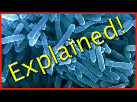 image-What is a micro fuel cell?