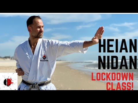 Richard Amos 40-minute Kihon Class themed around Heian Nidan 四十分基本と平安二段の稽古