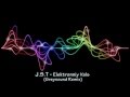 J.S.T - Elektronniy Vals (Greysound Remix) 