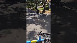 Worksman Team Dual Trike Johnny Cash I&#39;m Bound for the Promised Land August 19, 2024