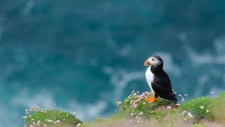 SHETLAND ISLANDS PHOTO ADVENTURES