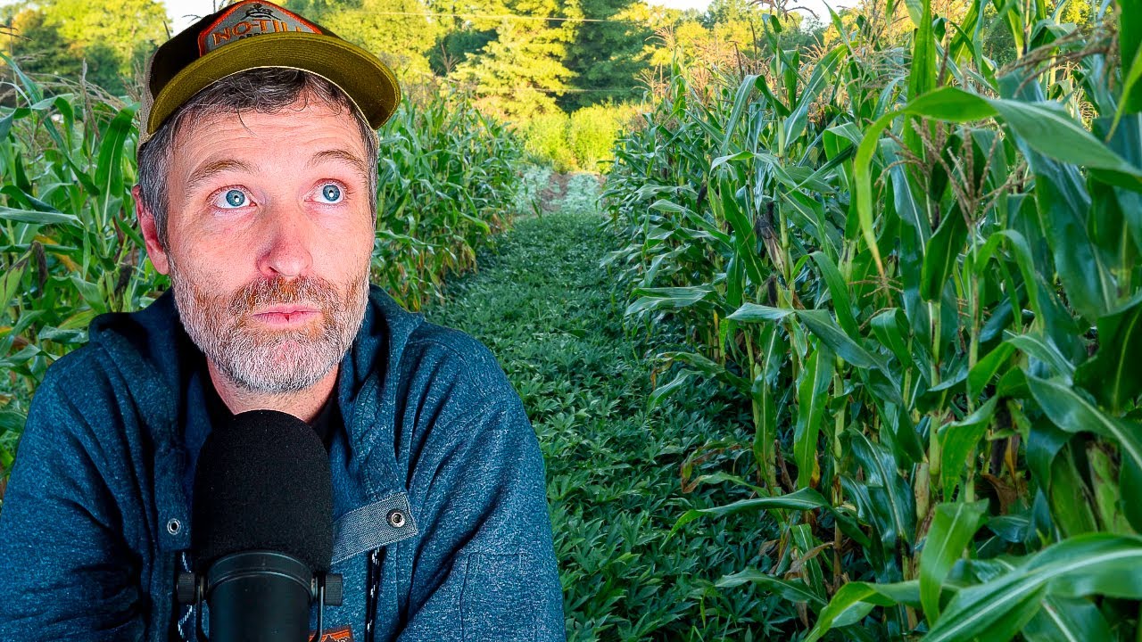 What Growers Get Wrong About "Three Sisters" + Why We Stopped Growing Microgreens