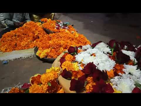 Tirath flower Rewa Mob.no. 9993901158