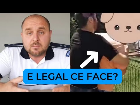 PĂREREA MEA DESPRE JUSTIȚIARUL DE BERCENI!!