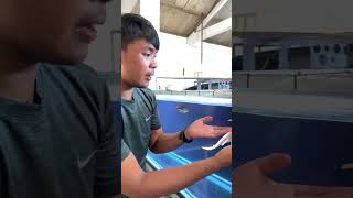 Download lagu THIS IS A P BASS FISH THIS IS A RTG FISH THIS IS ARWANA‼️⁉️ mp3