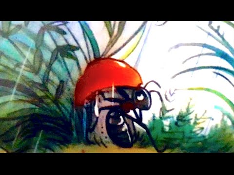 Mese: A gomba alatt 🍄