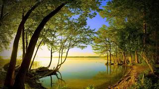 bensound onceagain   ♫ No Copyright Music