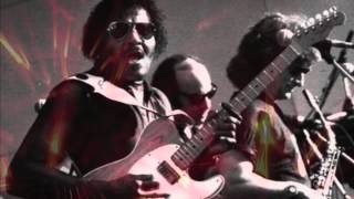 Albert Collins  -  The Freeze