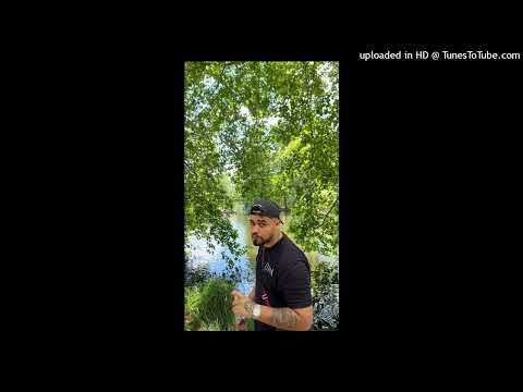 La rocca 2.0 (Lvbel C5 x ElMusto)