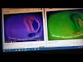 I KILLED ZOOPALS IN G MAJOR 7