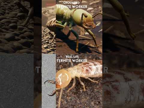 Grounded Creatures in Real Life Pt. 2 | #grounded #obsidianentertainment #shorts