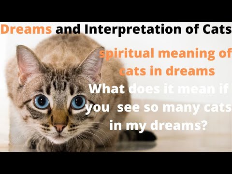 What does a dream about multiple cats mean?What does dreaming about cats and kittens meaning English