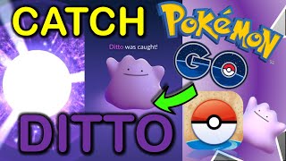 How to catch Ditto in Pokemon GO ✅ FULL TUTORIAL ✅ Catch Ditto on ANY device in 2024