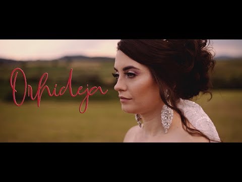 PDG - ORHIDEJA (OFFICIAL VIDEO)