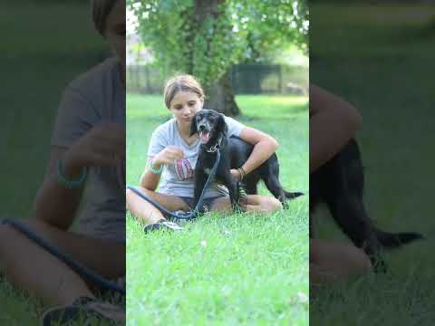 Video di NERINA