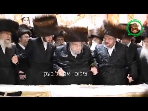 Belzer Rebbe At Sheva Brochis For His Grandson - האדמו"ר מבעלז בשבע ברכות לנכדו - סיון תשפ"ג