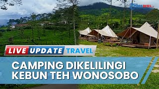 Serunya Bermalam di Tengah Kebun Teh dengan View Gunung Kembang di Sikembang Glamping Wonosobo