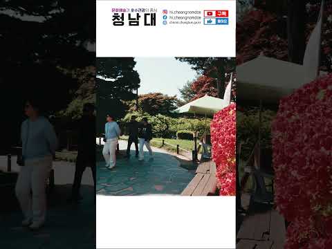 sns 이미지