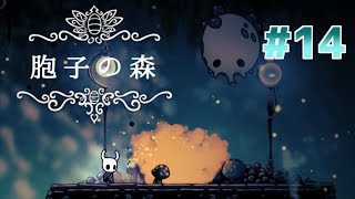 【実況】一匹のムシと滅びゆく王国の物語＃１４【Hollow Knight】