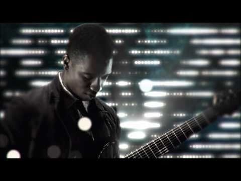 Animals As Leaders - CAFO Prosthetic Records