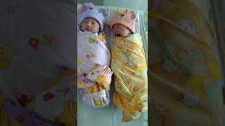 Download lagu bayi kembar baru lahir, lucu sekali | anak kembar perempuan mp3