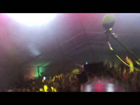 Wild Crowd at Brass Palmas!