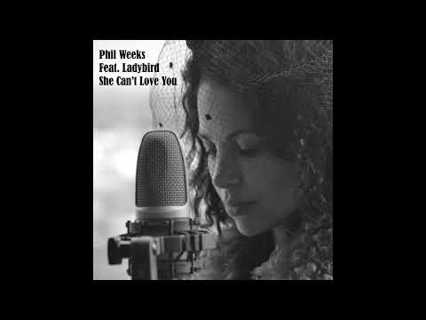 Phil Weeks feat. Ladybird - She Can't Love You