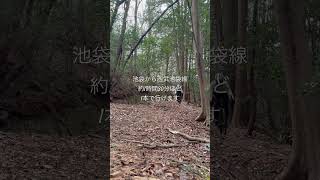 埼玉県　飯能市の魅力