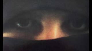 Vangelis - "Flamants Roses"