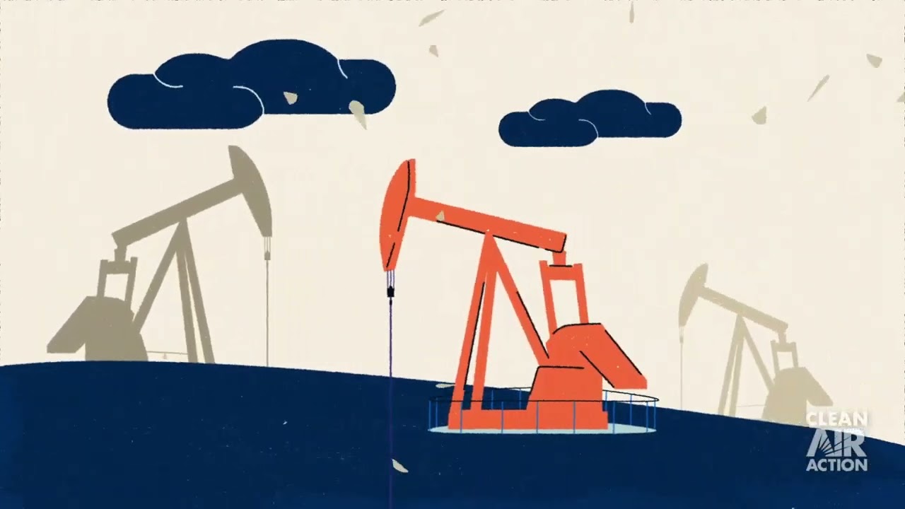 What Are Petrochemicals?