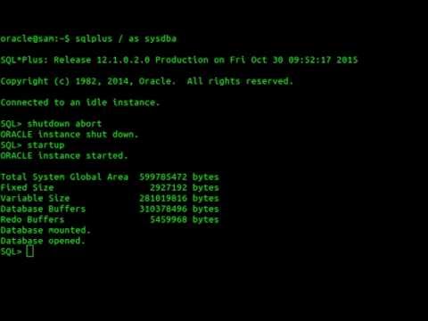 download lagu mp3 mp4 Shared Memory Realm Already Exists, download lagu Shared Memory Realm Already Exists gratis, unduh video klip Shared Memory Realm Already Exists